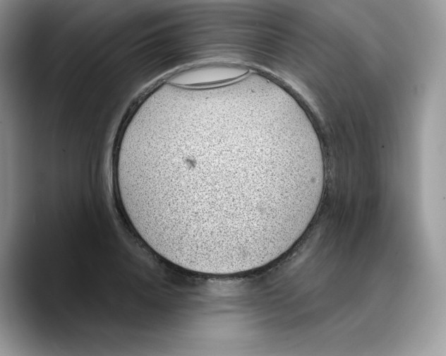 X0000089750840200707201920