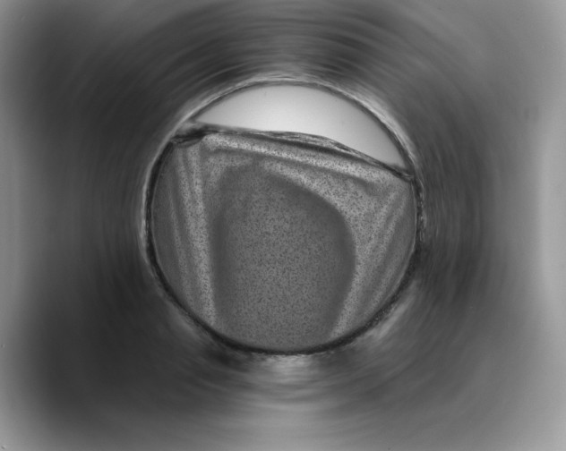 X0000089750845200707201920