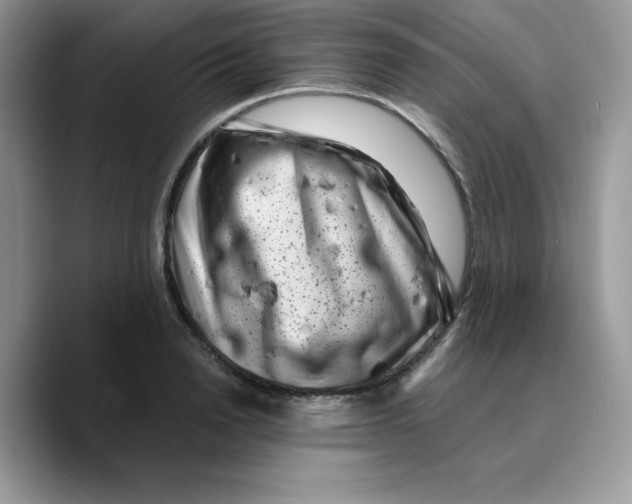 X0000089750846200707201920