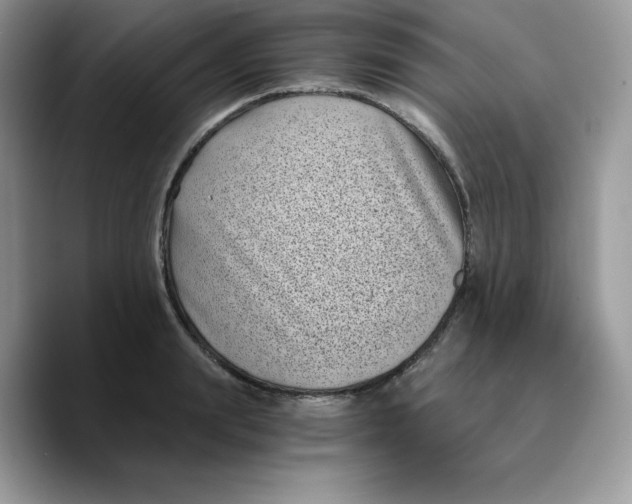 X0000089750847200707201920