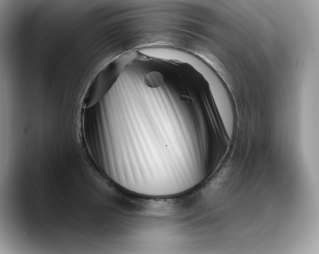 X0000089750850200707201920