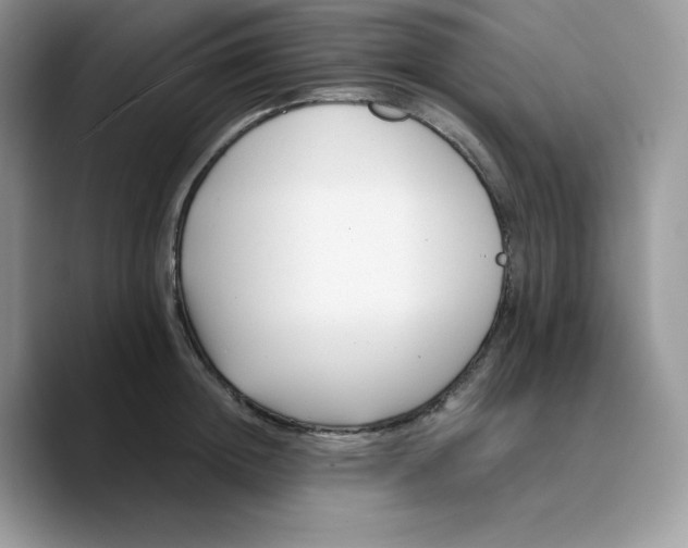 X0000089750852200707201920