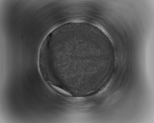 X0000089750853200707201920