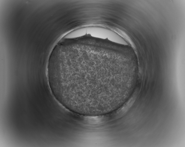 X0000089750855200707201921