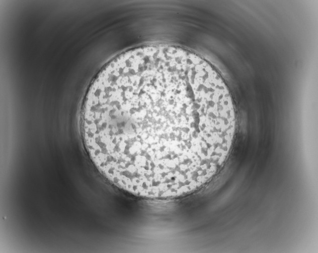 X0000089750856200707201921