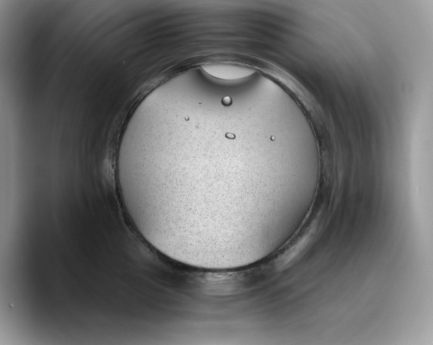 X0000089750857200707201921