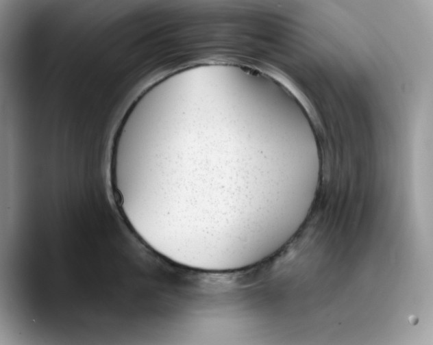 X0000089750861200707201921