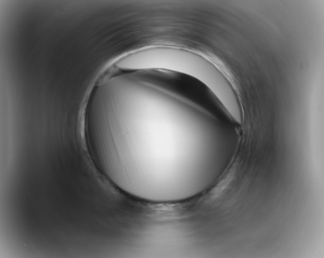 X0000089750862200707201921