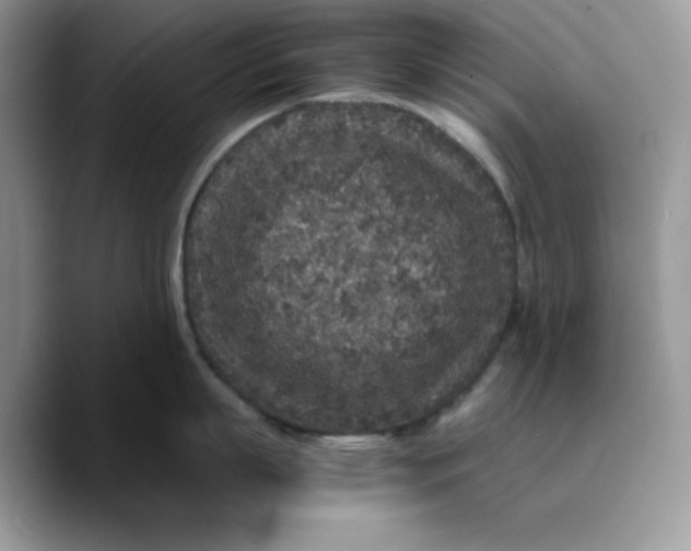 X0000089750863200707201921