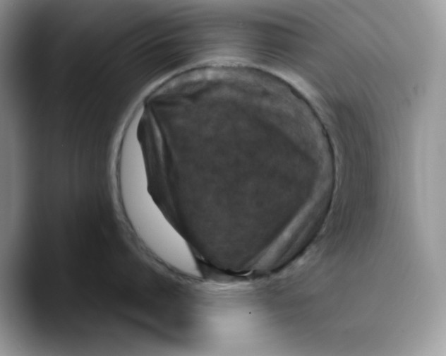 X0000089750864200707201921