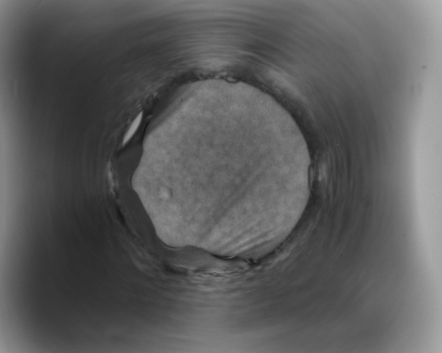 X0000089750868200707201920