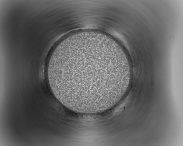 X0000089750875200707201920