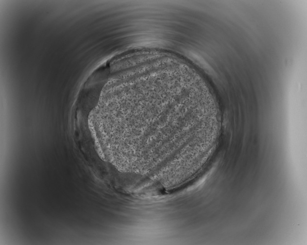 X0000089750877200707201920