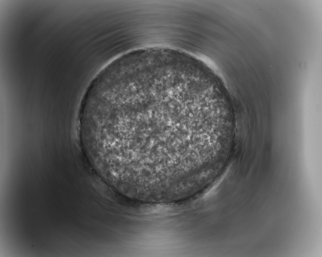 X0000089750879200707201920