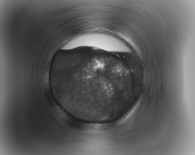 X0000089750881200707201920