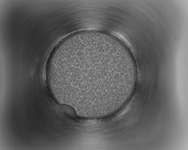 X0000089750883200707201920