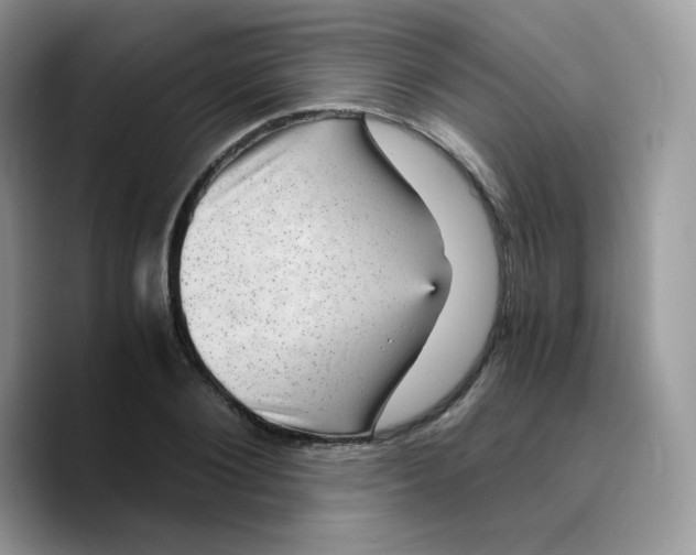 X0000089750884200707201920