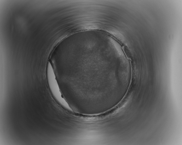 X0000089750889200707201920