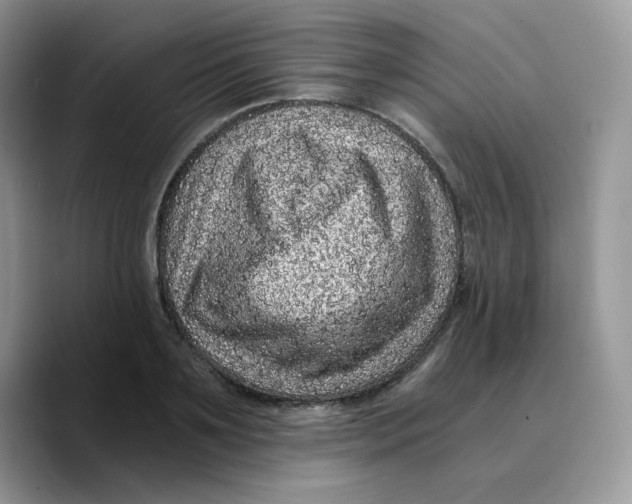 X0000089750891200707201920