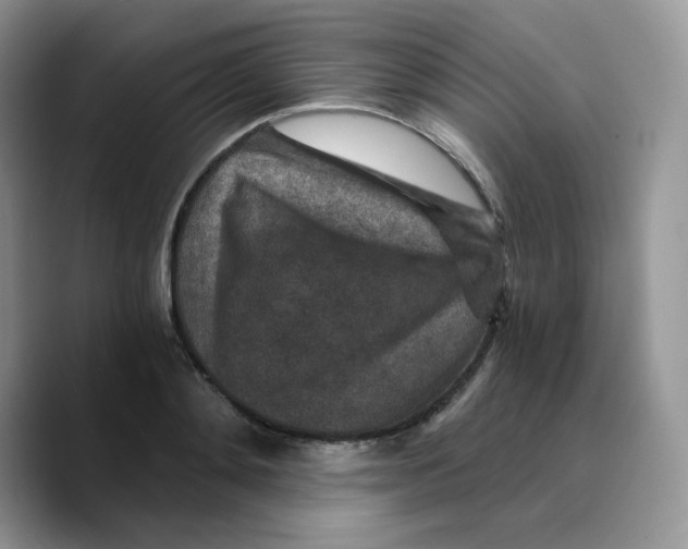 X0000089750892200707201920