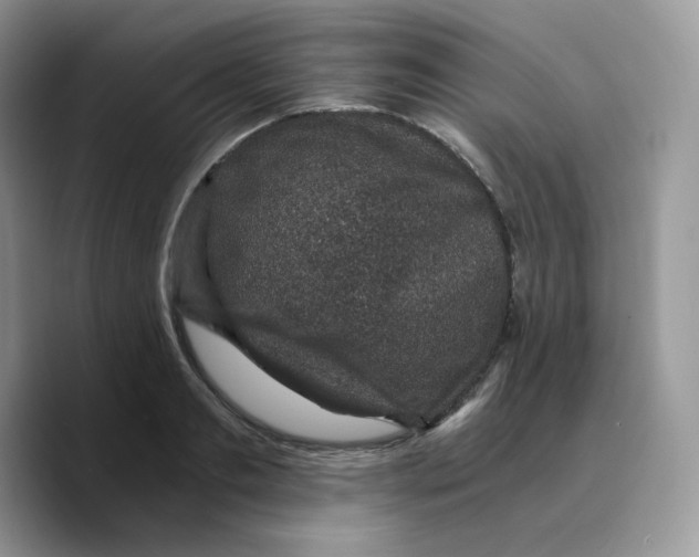 X0000089750893200707201920