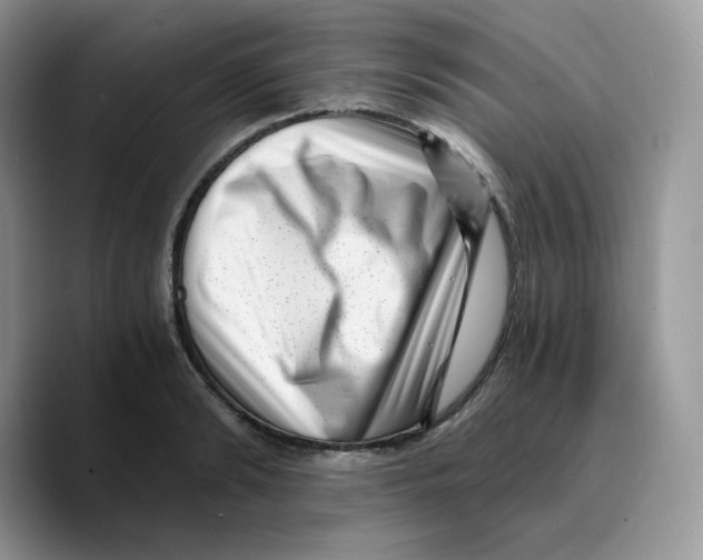 X0000089750894200707201920