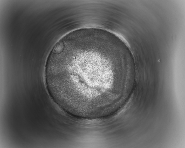 X0000089750895200707201920