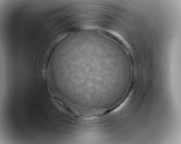 X0000089750897200707201920