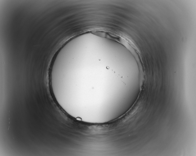 X0000089750898200707201920