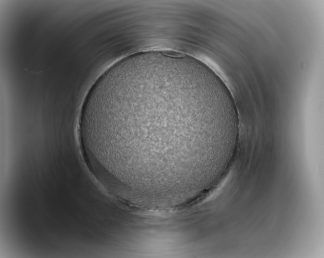 X0000089750901200707201920