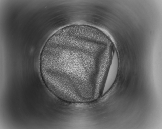 X0000089750903200707201920