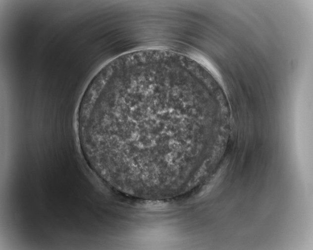 X0000089750907200707201919