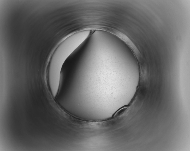 X0000089750908200707201919