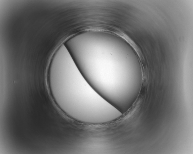 X0000089750909200707201919