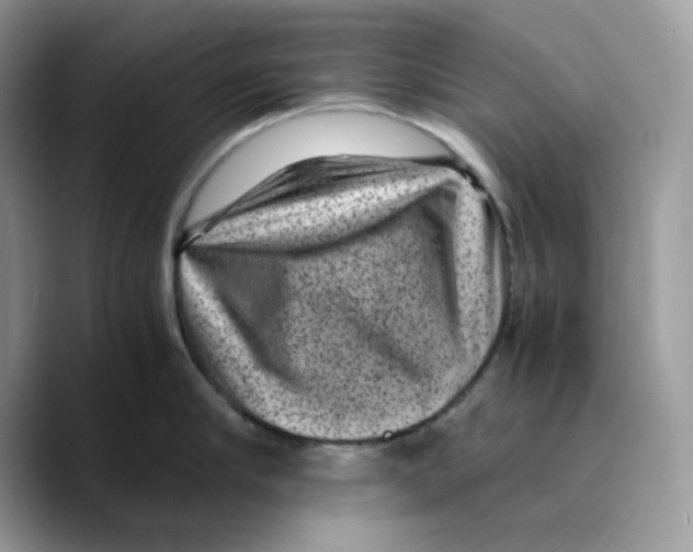 X0000089750910200707201919