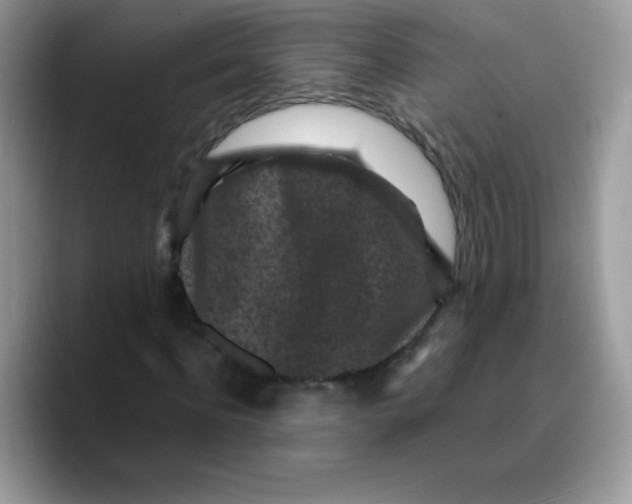 X0000089750916200707201919