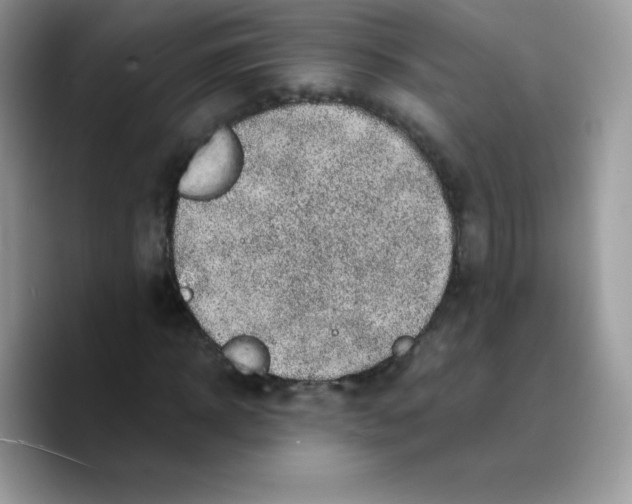 X0000089750918200707201919