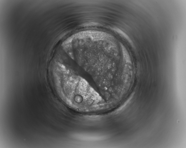 X0000089750921200707201919