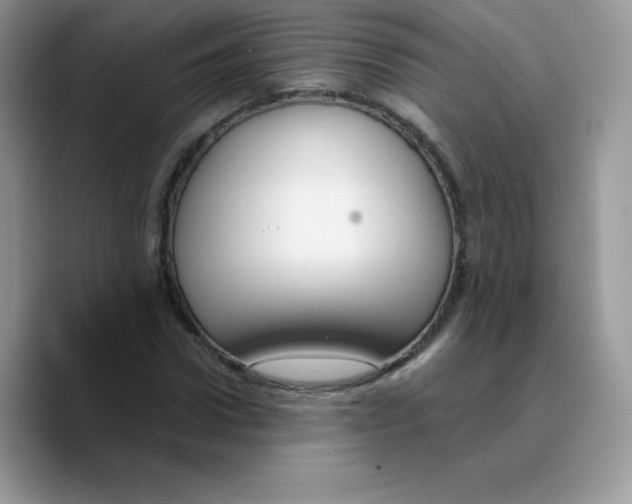 X0000089750922200707201919