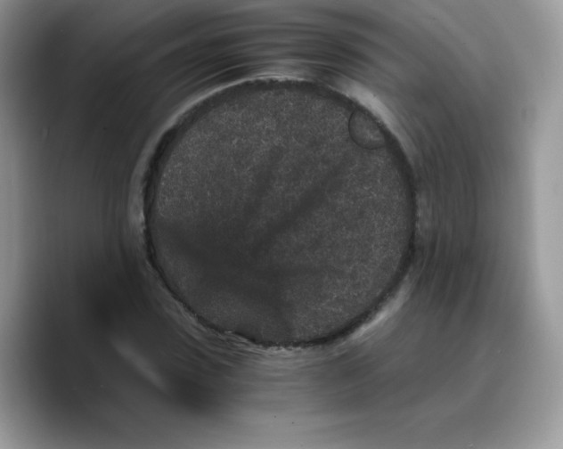 X0000089750923200707201919