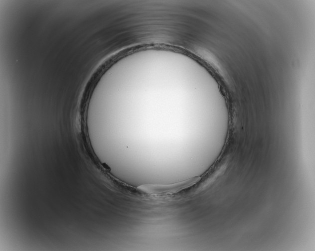 X0000089750924200707201919