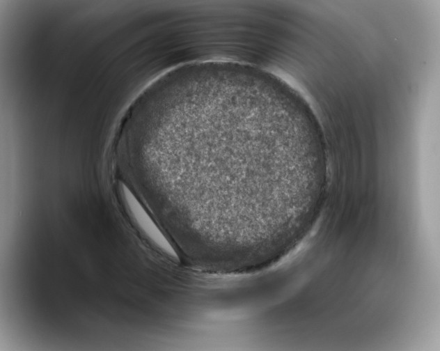 X0000089750925200707201919