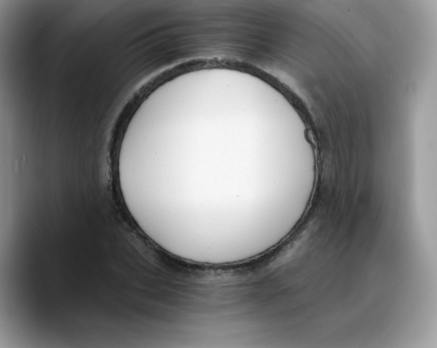 X0000089750927200707201919