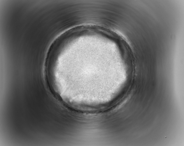 X0000089750928200707201919