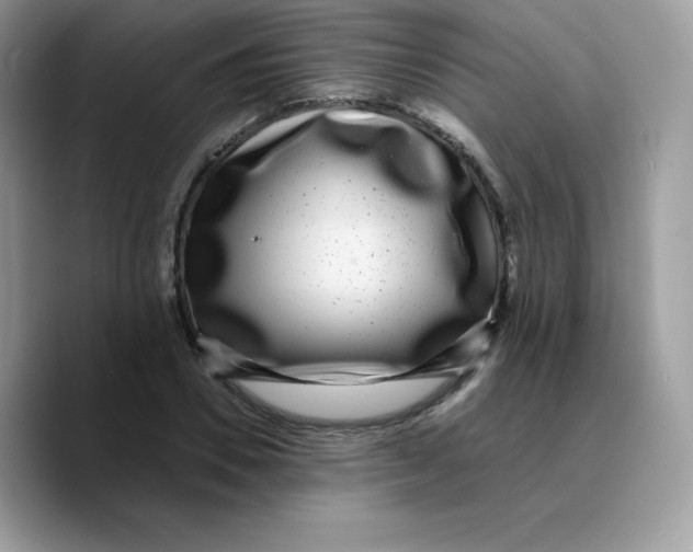 X0000089750930200707201919