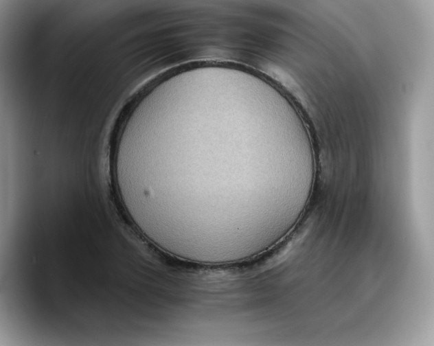 X0000089750931200707201919