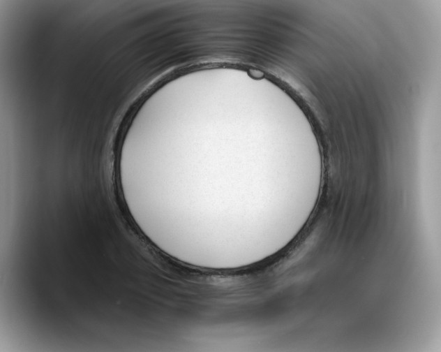 X0000089750933200707201919