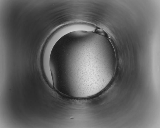 X0000089750934200707201919