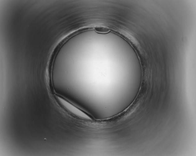 X0000089750936200707201919