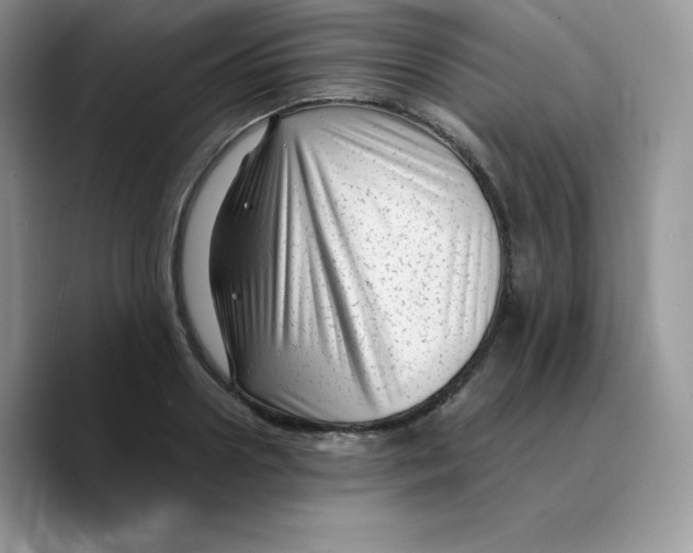 X0000089750938200707201919